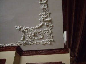 plasterceiling1.jpg